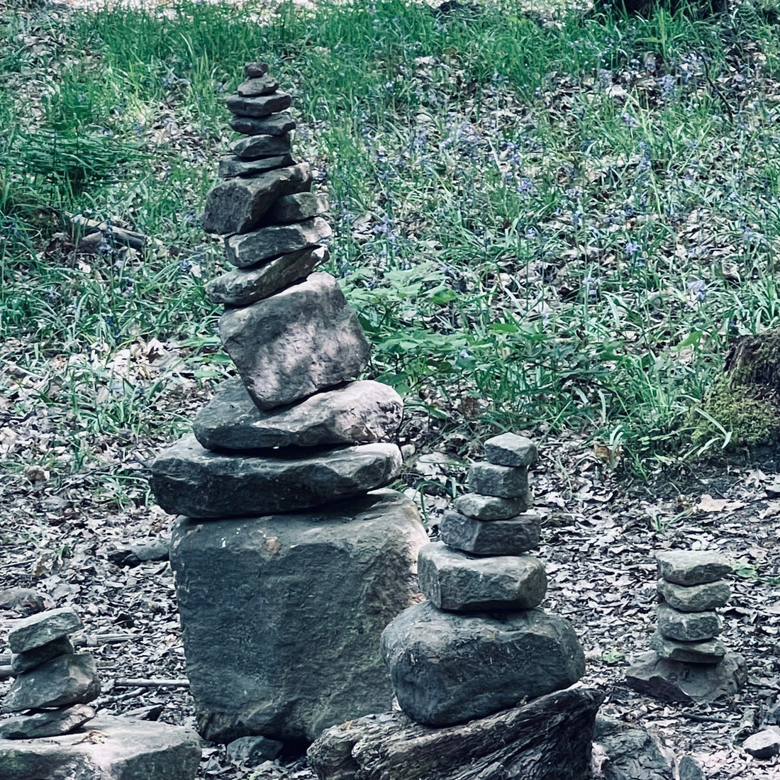 The Forest of Dean Sculpture Trail - Cotswold Jewellery