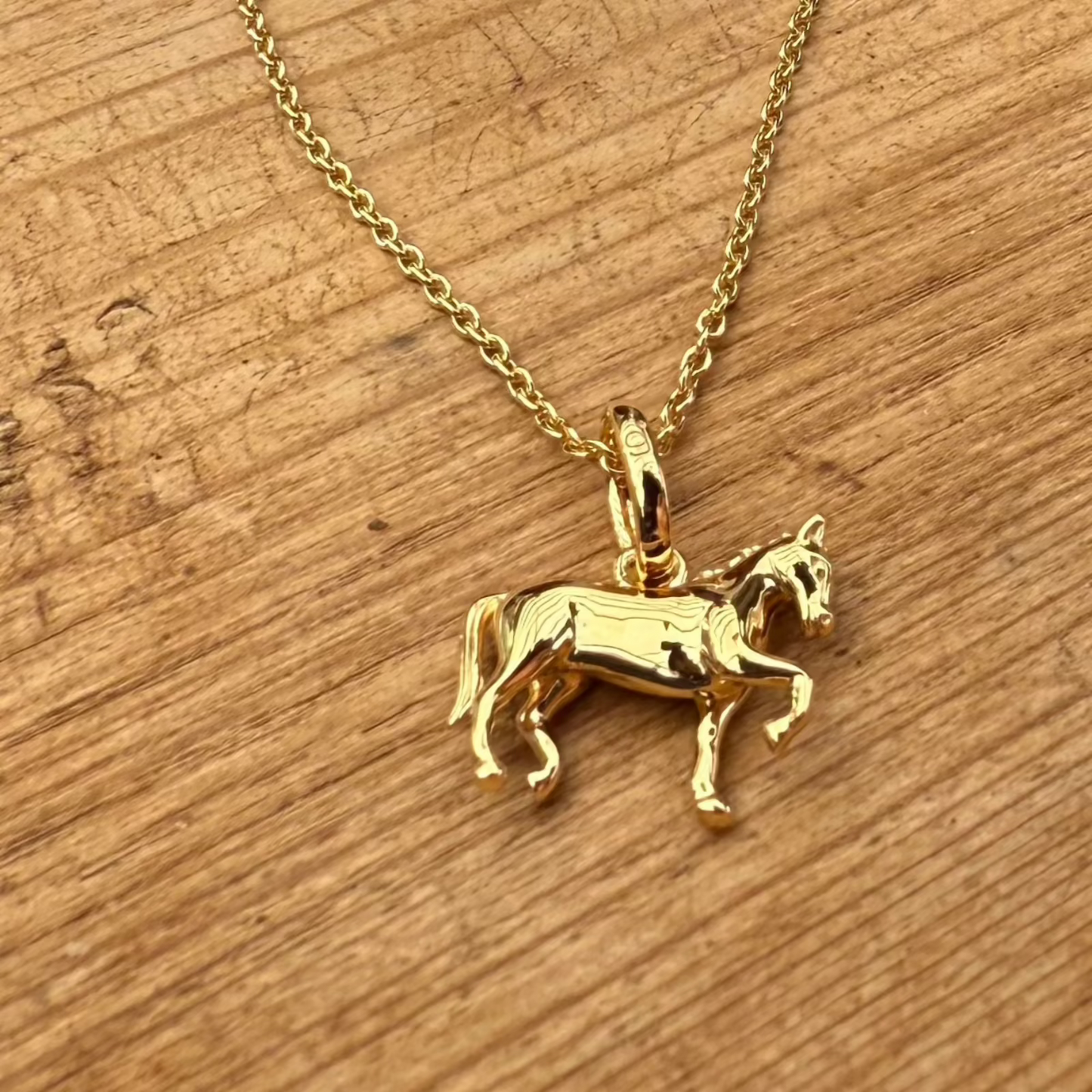 gold-dressage-horse-necklace-cotswold-jewellery