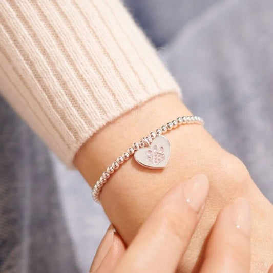 Joma Jewellery A Little Sorry for your Doggie Loss Bracelet - Cotswold Jewellery