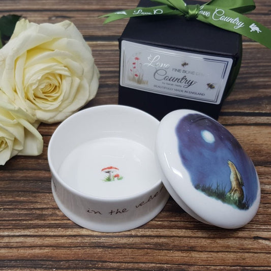 Moongazer Trinket Box - Cotswold Jewellery