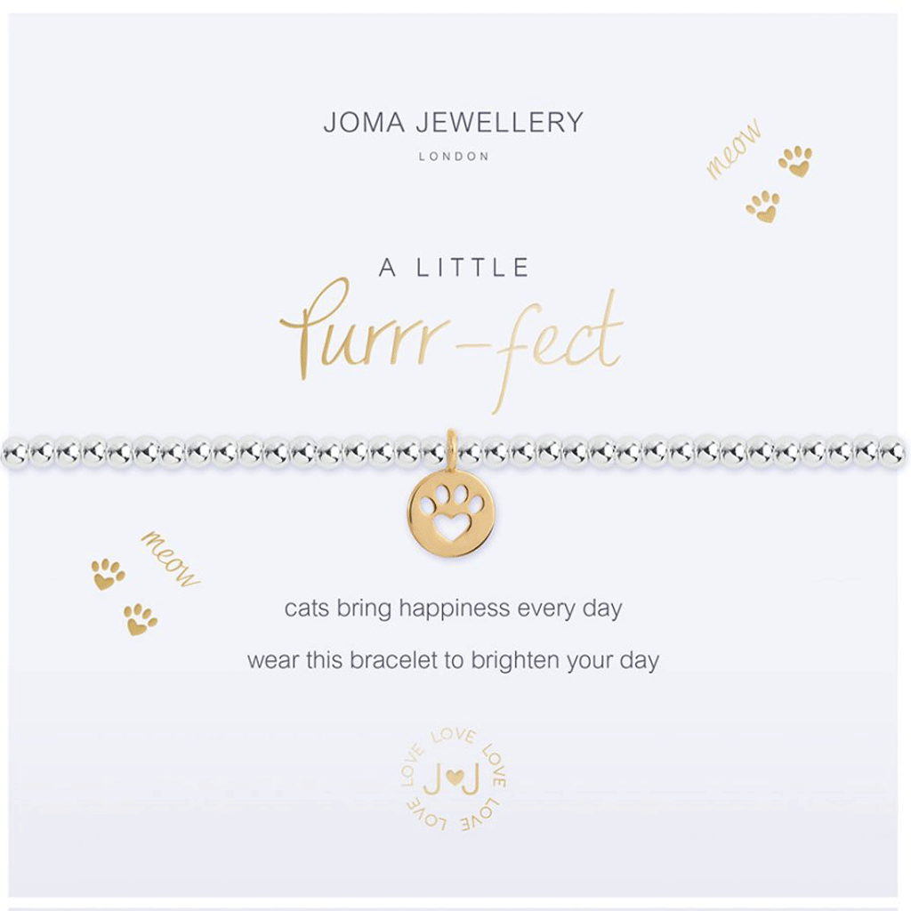 Purrfect Cat Bracelet - Cotswold Jewellery
