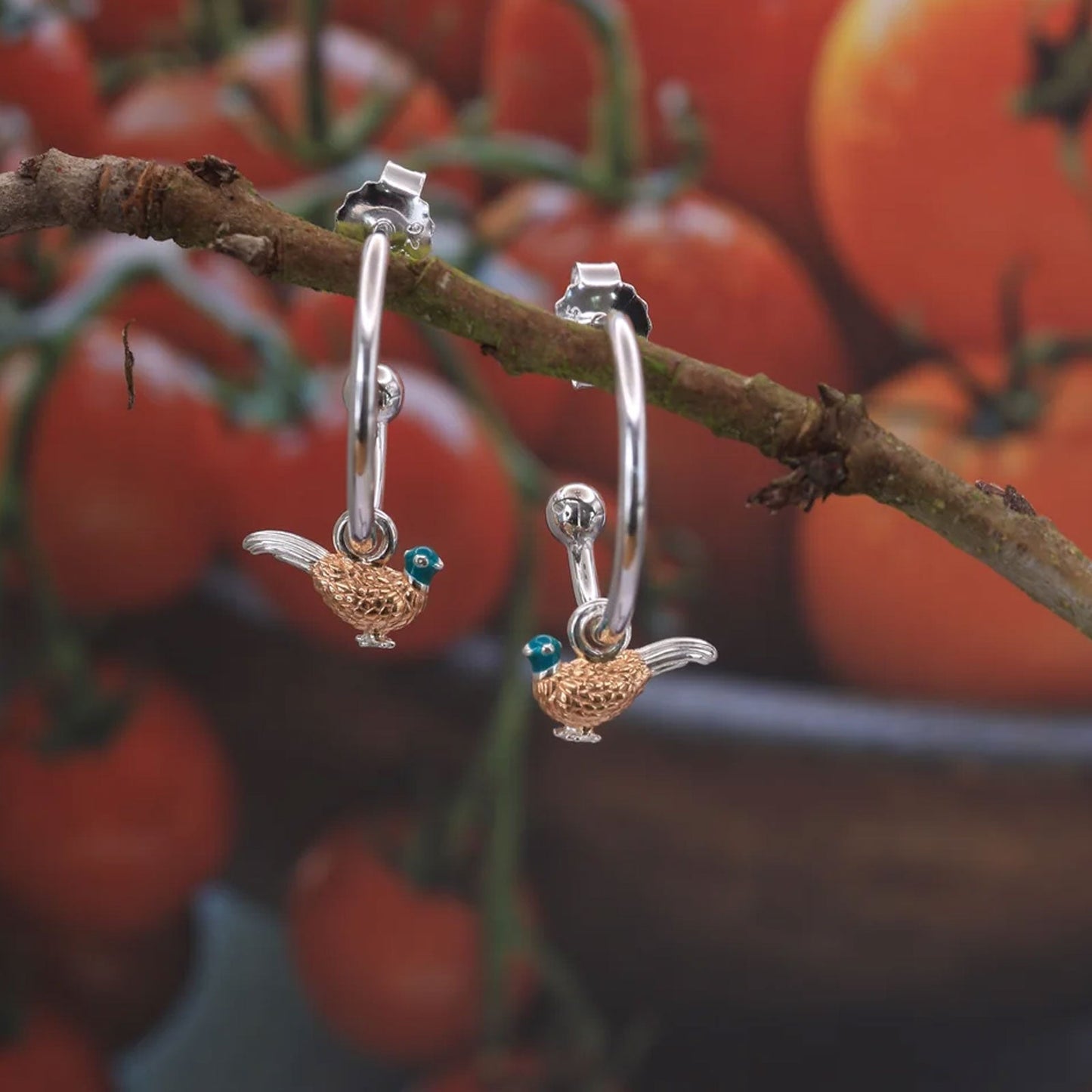 Robin Hoop Recycled Sterling Silver Earrings - Cotswold Jewellery