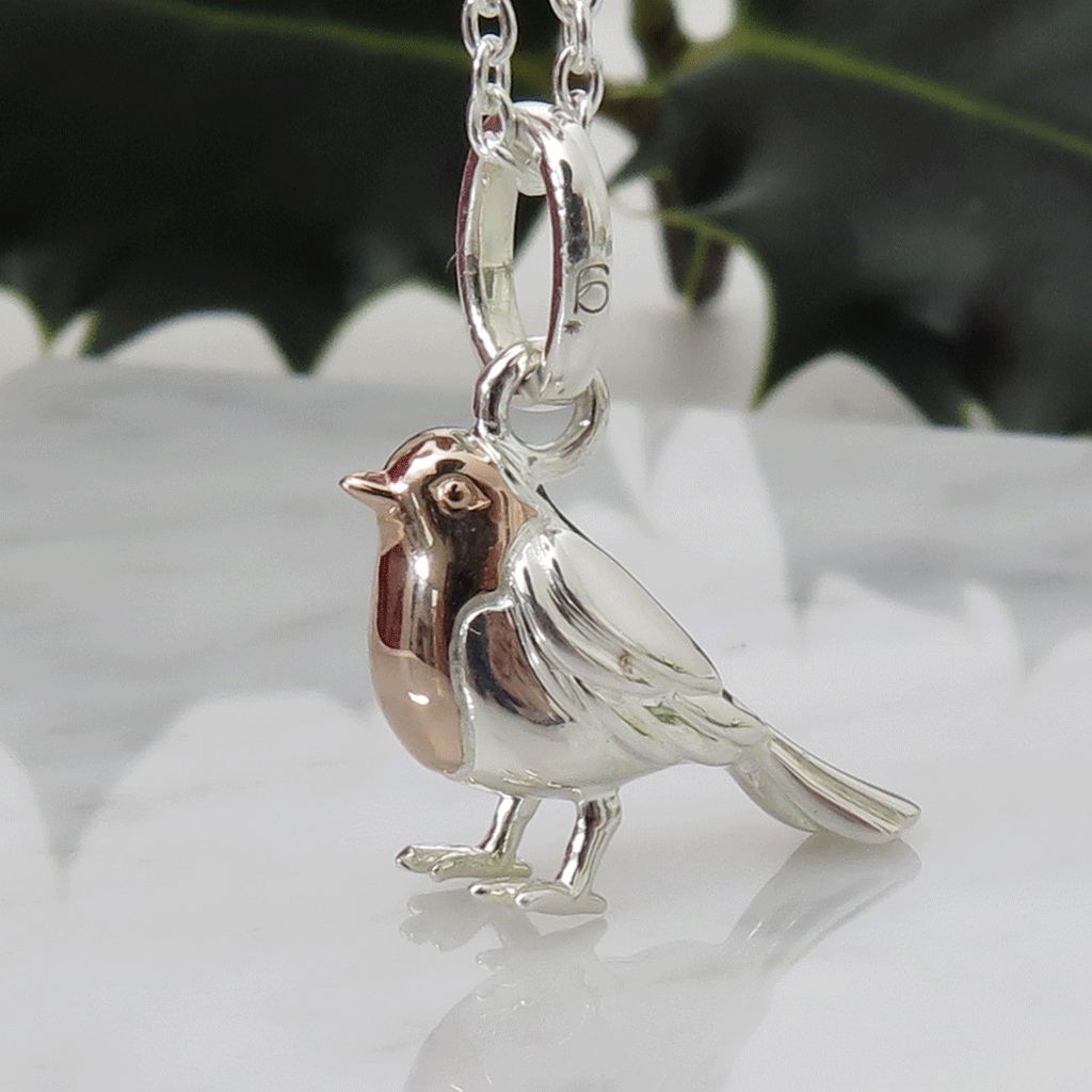 Robin Sterling Silver Necklace - Cotswold Jewellery