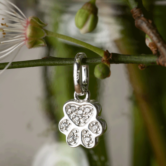 sparkly-paw-print-charm-from-cotswold-jewellery