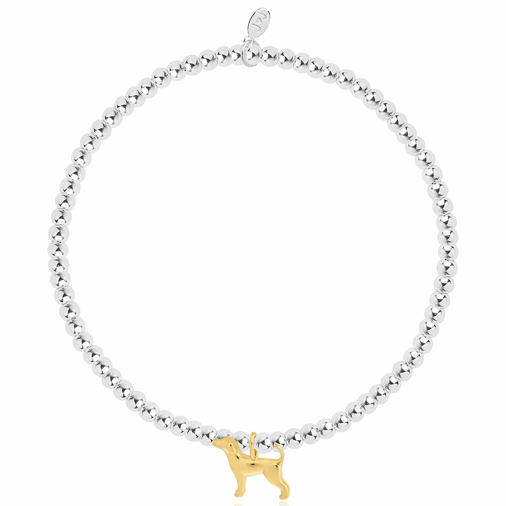 joma-jewellery-labrador-dog-bracelet