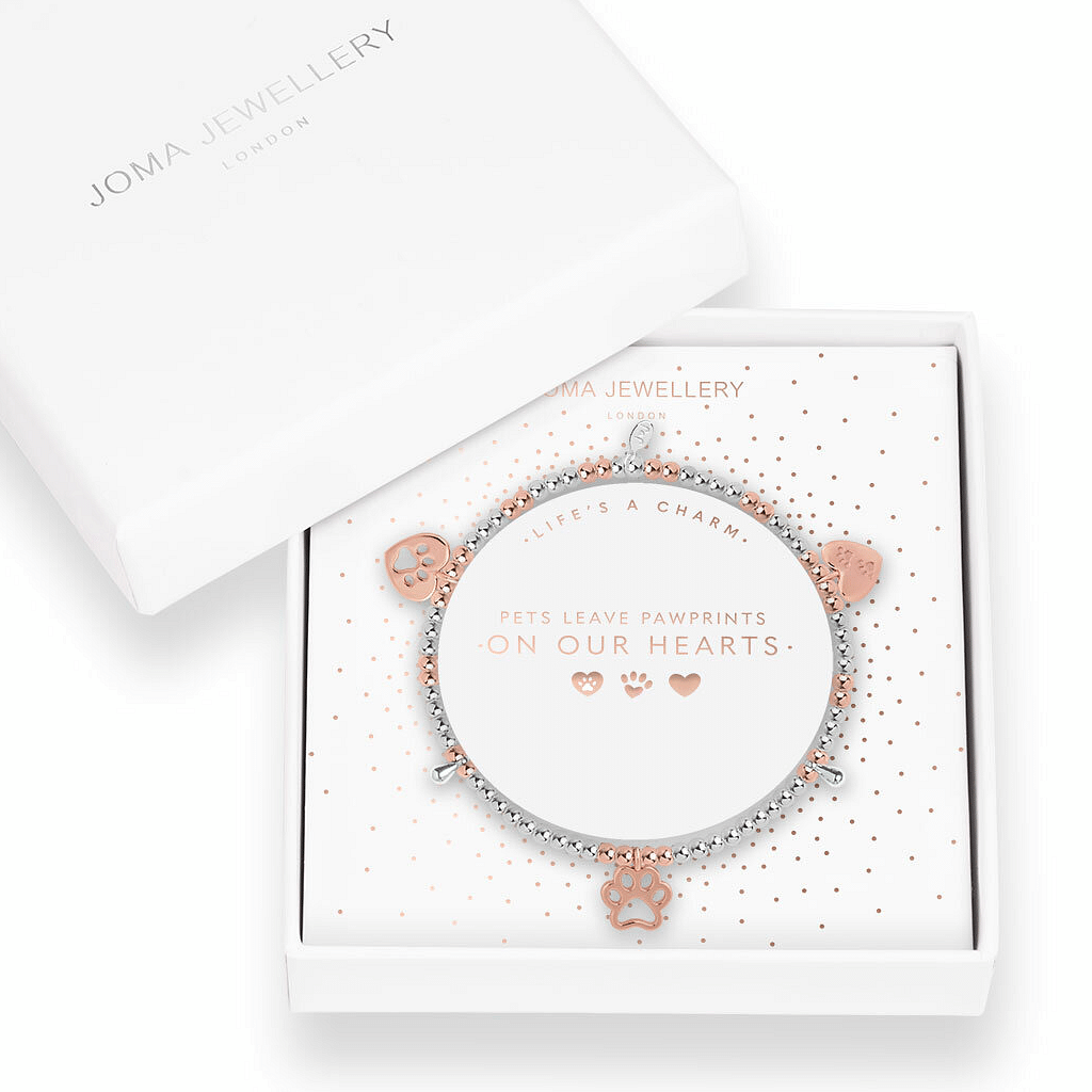 Joma 2025 jewellery dog