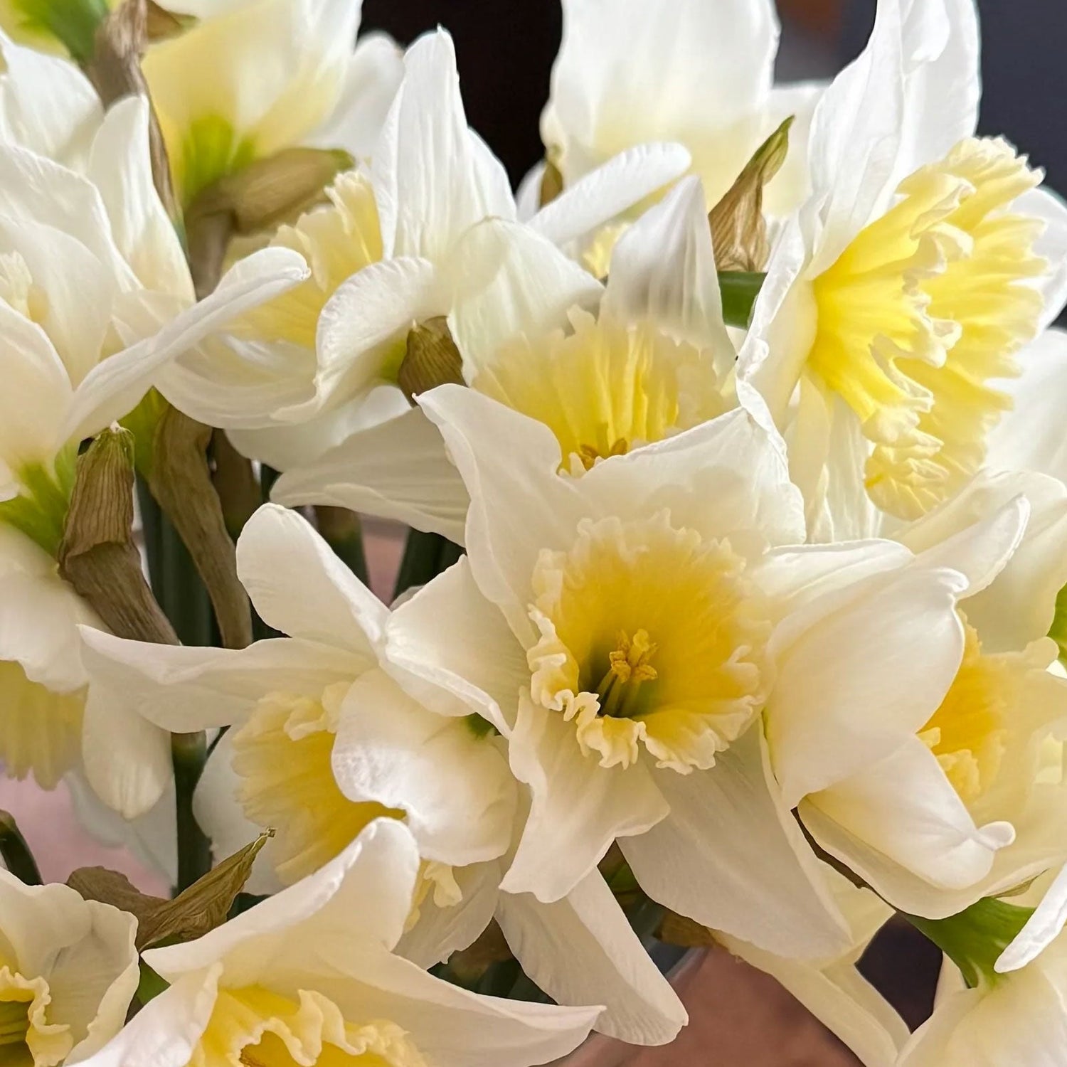 Easter Gifts - Cotswold Jewellery