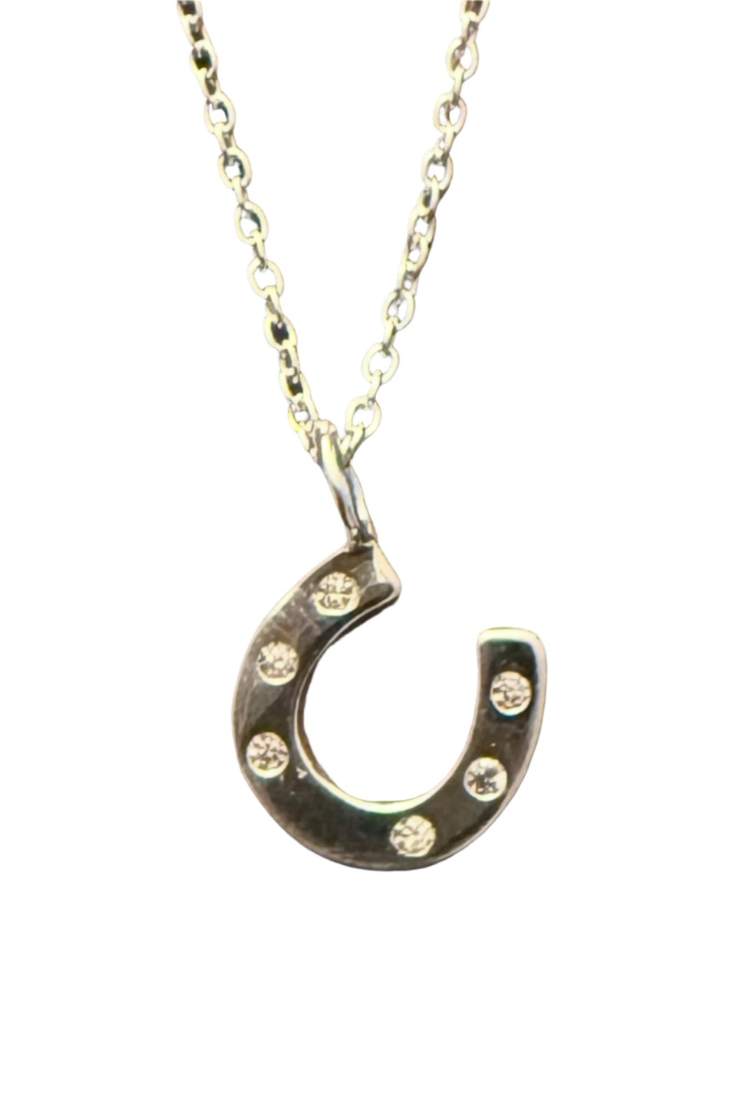 Horseshoe-sterling-silver-necklace