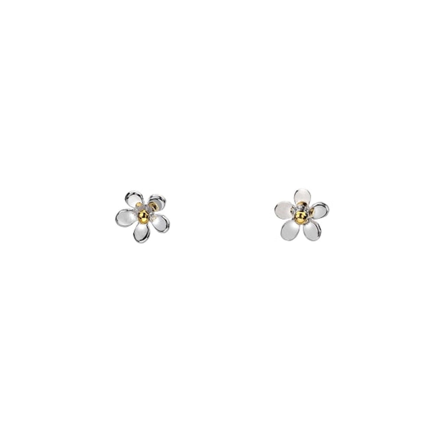 Flower-shaped earrings on a white background