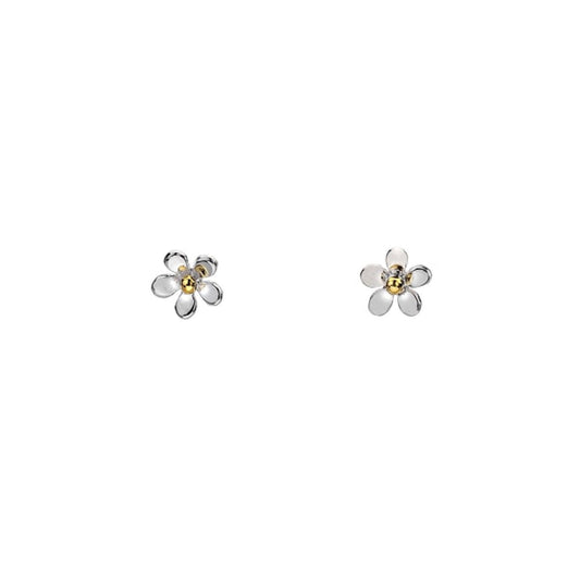 Flower-shaped earrings on a white background