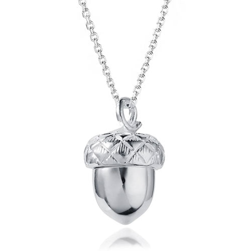 Pretty Acorn Locket Necklace