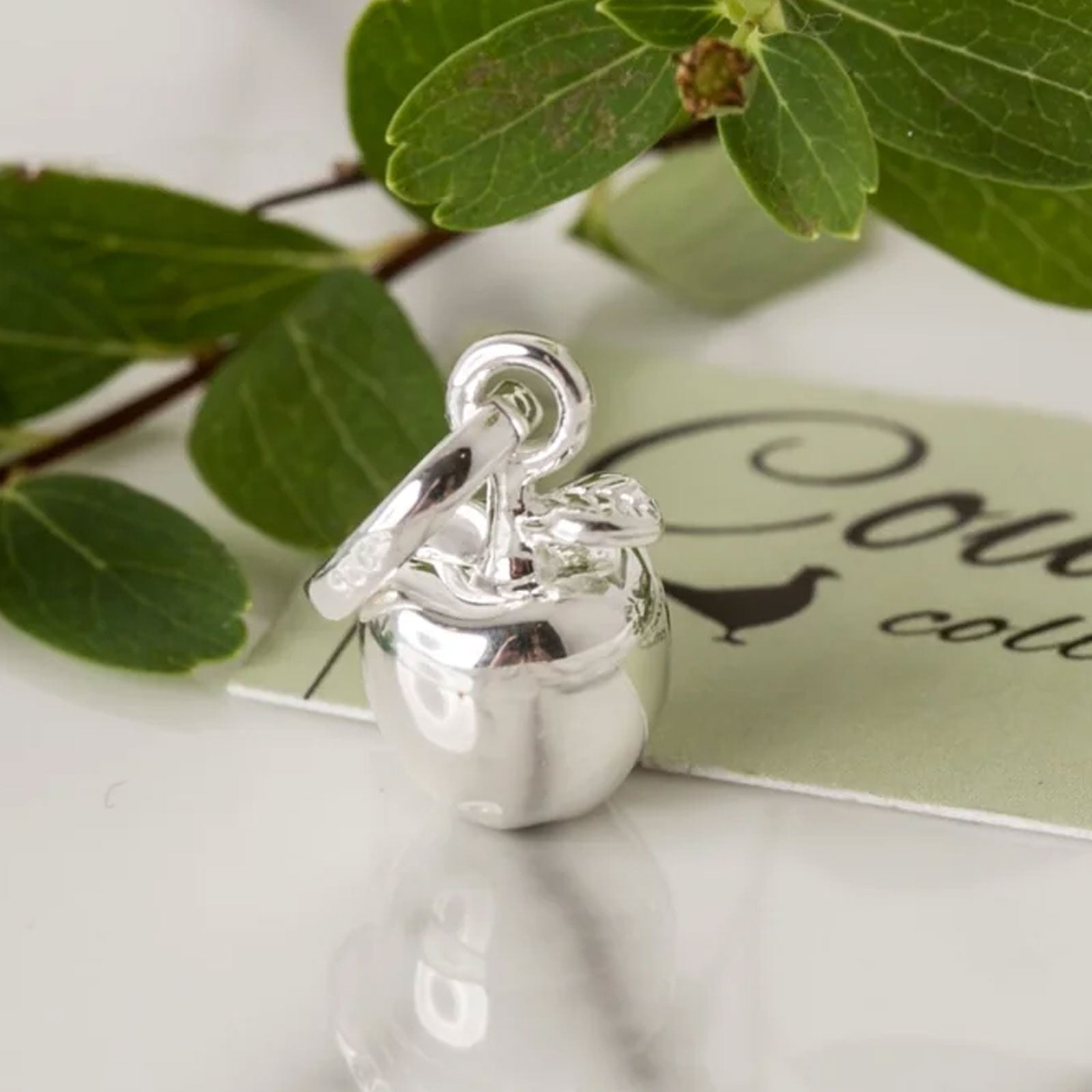 Silver ring with a small apple-shaped box on a white surface with green leaves.