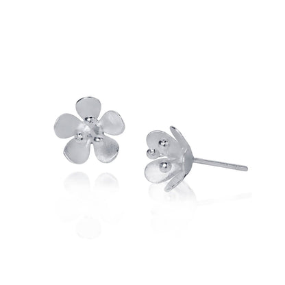 silver earrings on white background