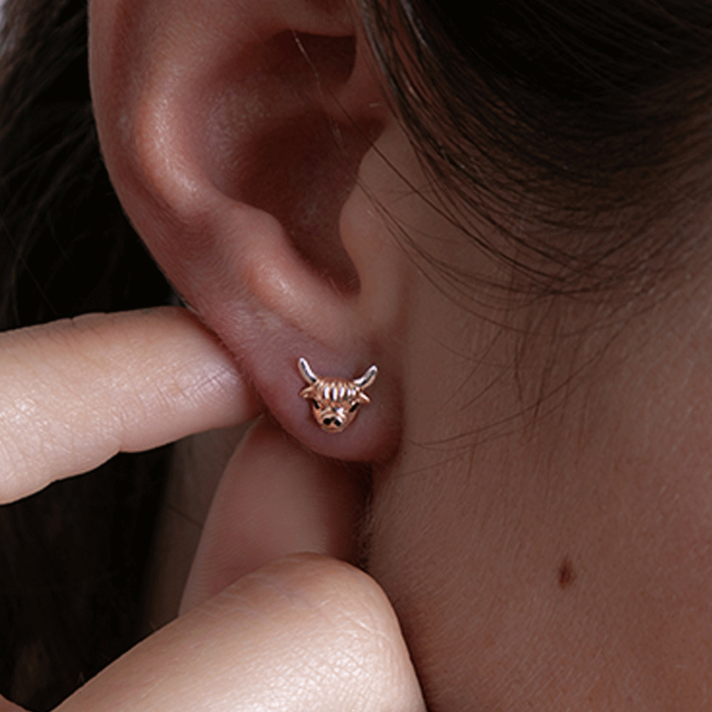 cow-highland-earrings-in-ear