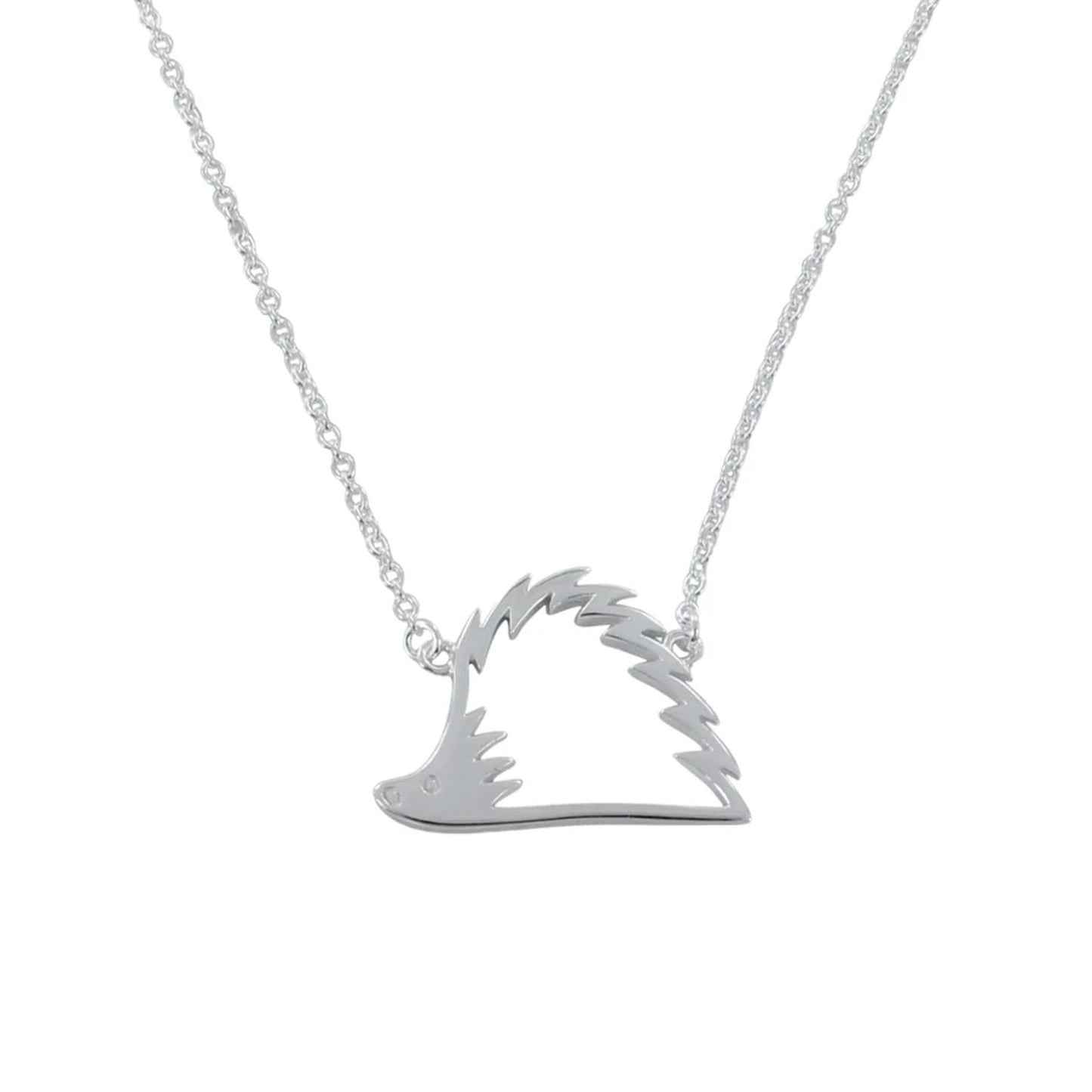 Silver necklace with a unique pendant on a white background