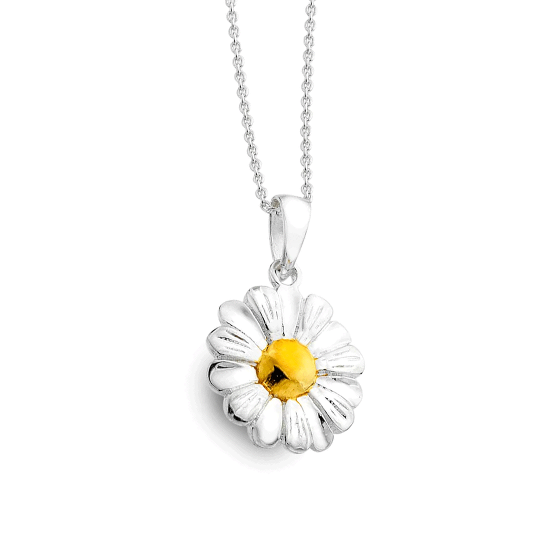 dainty-spring-daisy