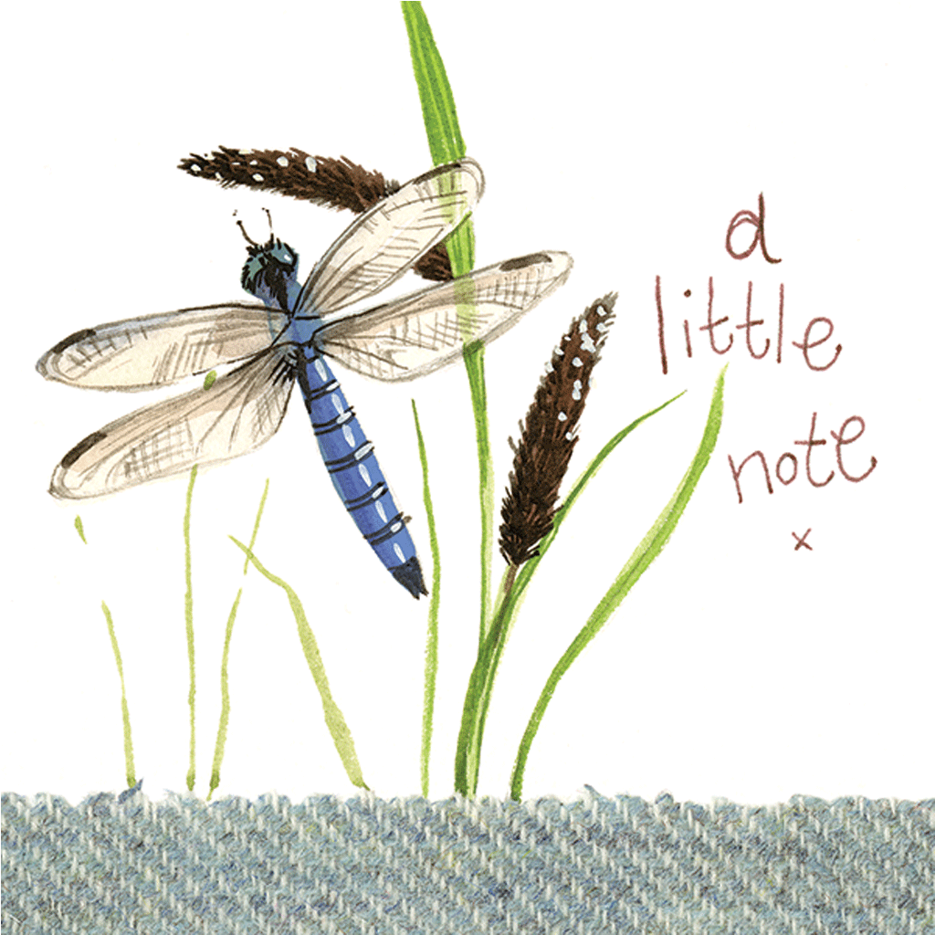 Dragon Fly Little Note Card - Cotswold Jewellery