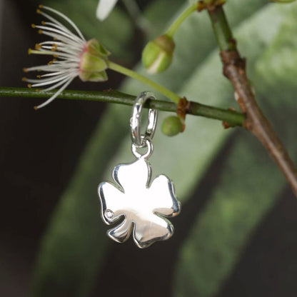 Four Leaf Clover Recycled Sterling Silver Charm on twig on coloured background