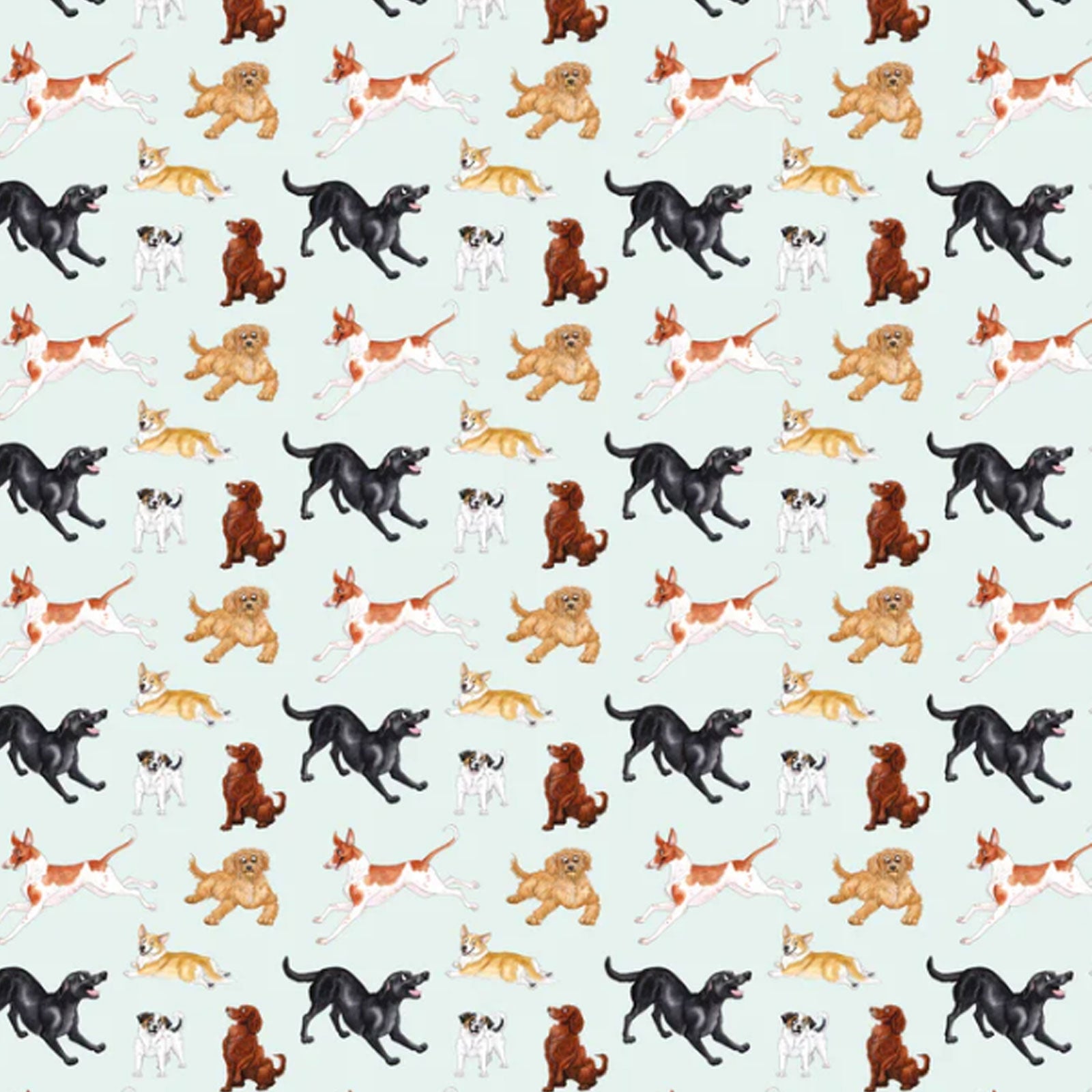 Gift Wrapping - Cotswold Jewellery