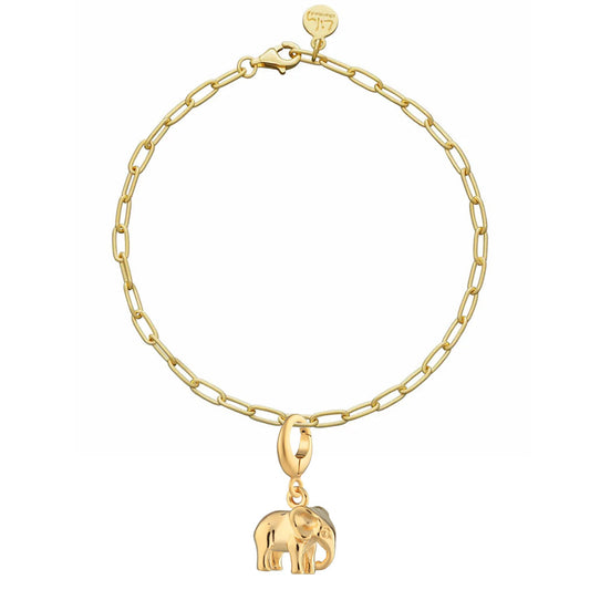 Gold bracelet with an elephant charm on a white background