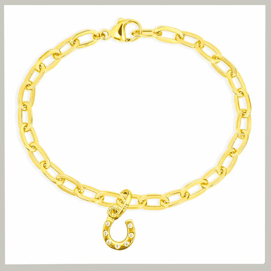 gold-horseshoe-charm-sparkly-on-charm-bracelet-on-white-background