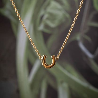 Gold horseshoe necklace against a blurred green plant background