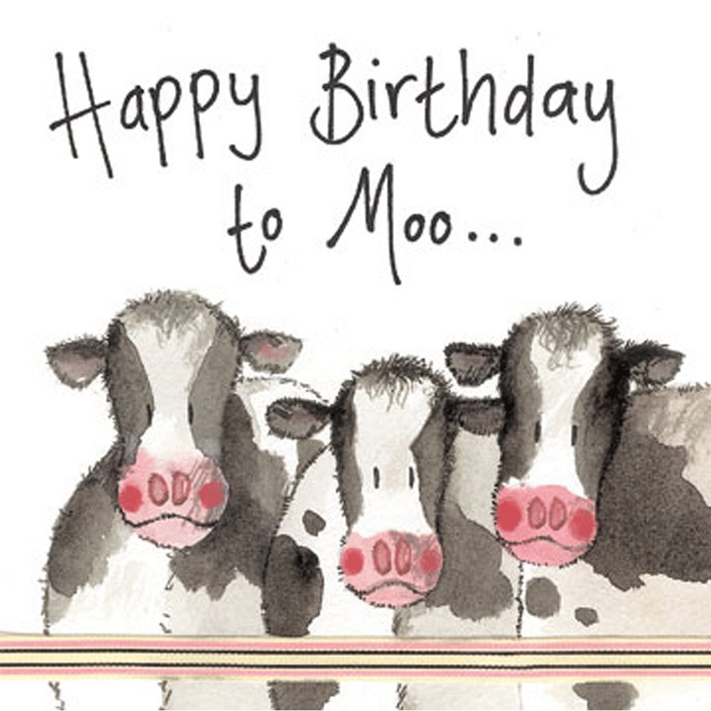 Happy Birthday To Moo Birthday Card - Cotswold Jewellery