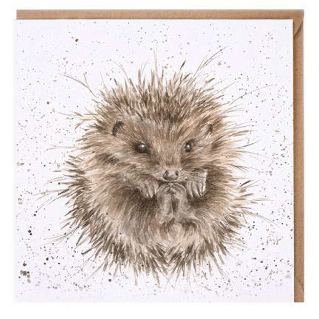 Hedgehog Blank Card - Cotswold Jewellery