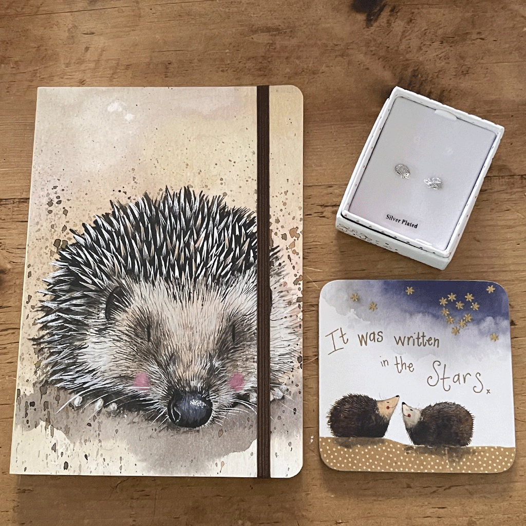Hedgehog Gifts 2 - Cotswold Jewellery