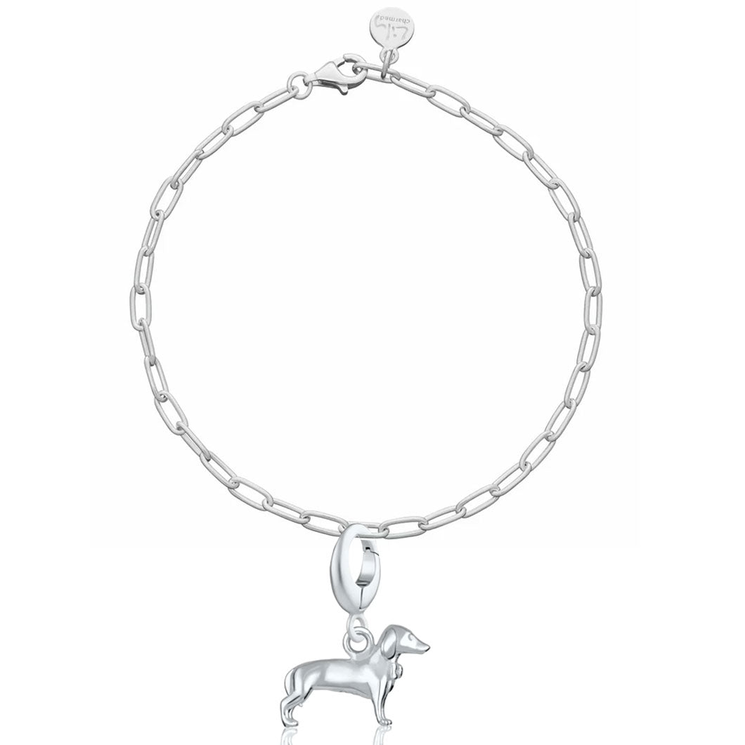 Silver chain bracelet with a dog charm on a white background