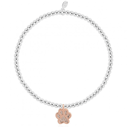 Love has Four Paws Bracelet - Cotswold Jewellery