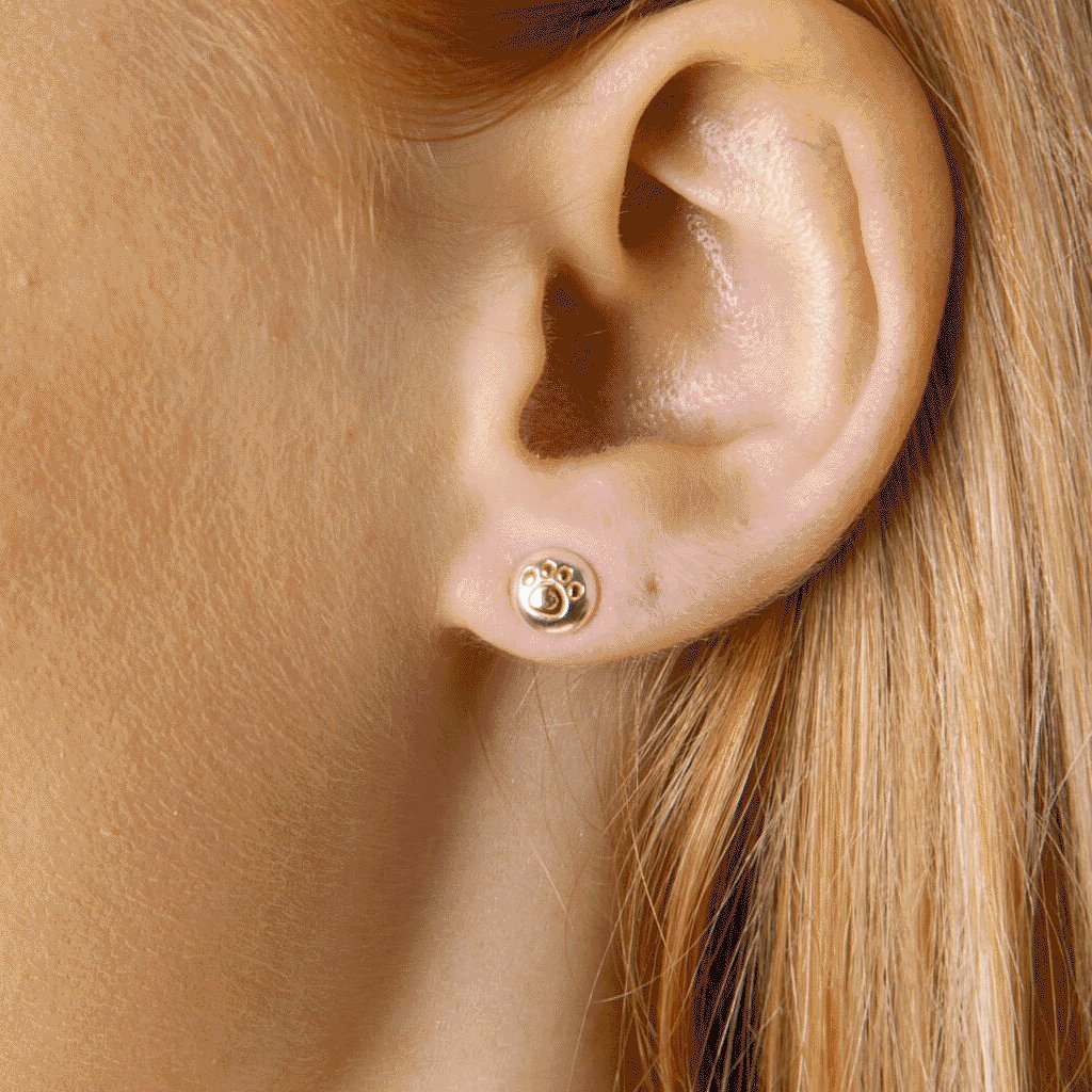 Paw Print Recycled Sterling Silver Earrings - Cotswold Jewellery