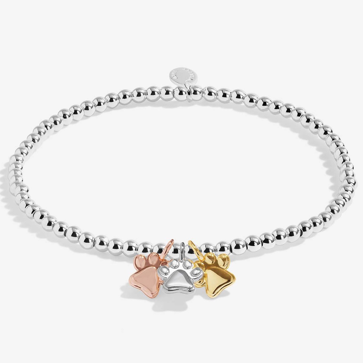 A silver beaded bracelet with three small paw print charms in silver, rose gold, and yellow gold, displayed on a clean white background.