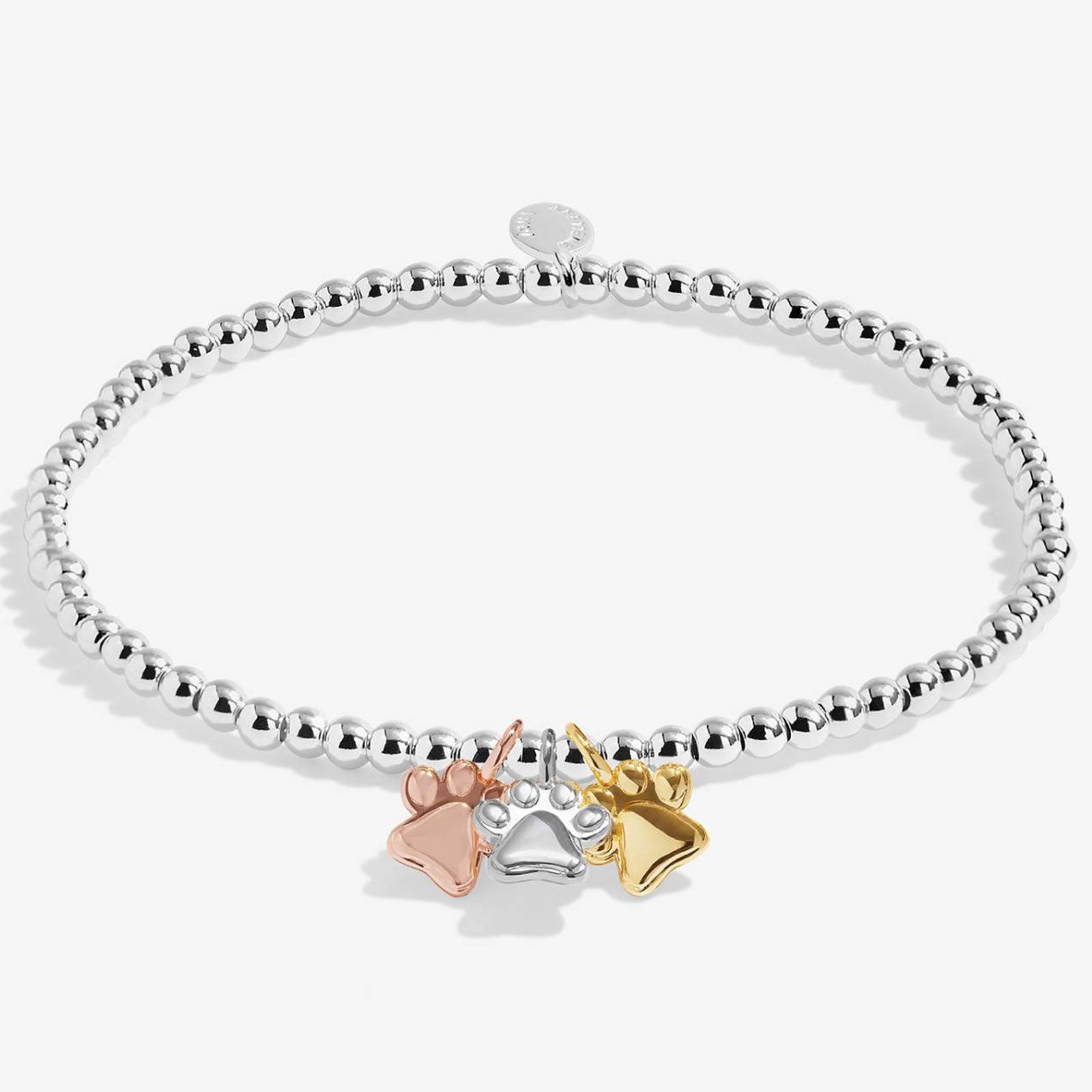 A silver beaded bracelet with three small paw print charms in silver, rose gold, and yellow gold, displayed on a clean white background.