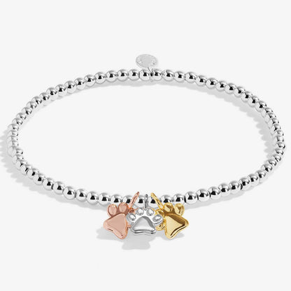 A silver beaded bracelet with three small paw print charms in silver, rose gold, and yellow gold, displayed on a clean white background.