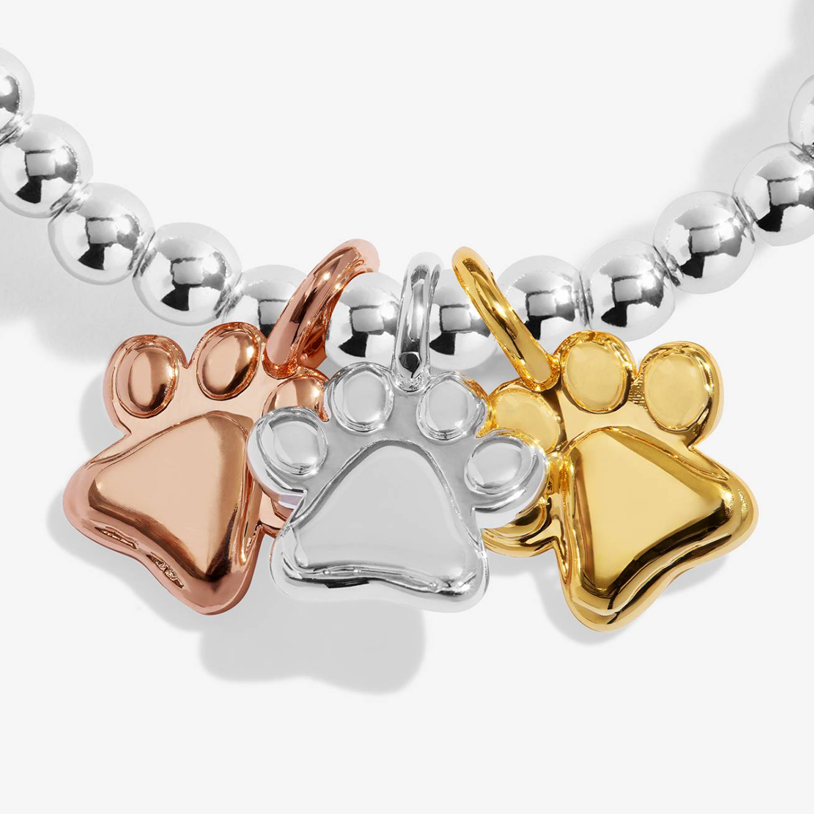 A close-up of a beaded bracelet featuring three paw print charms in rose gold, silver, and yellow gold, suspended from a polished silver bead chain against a light gray background.