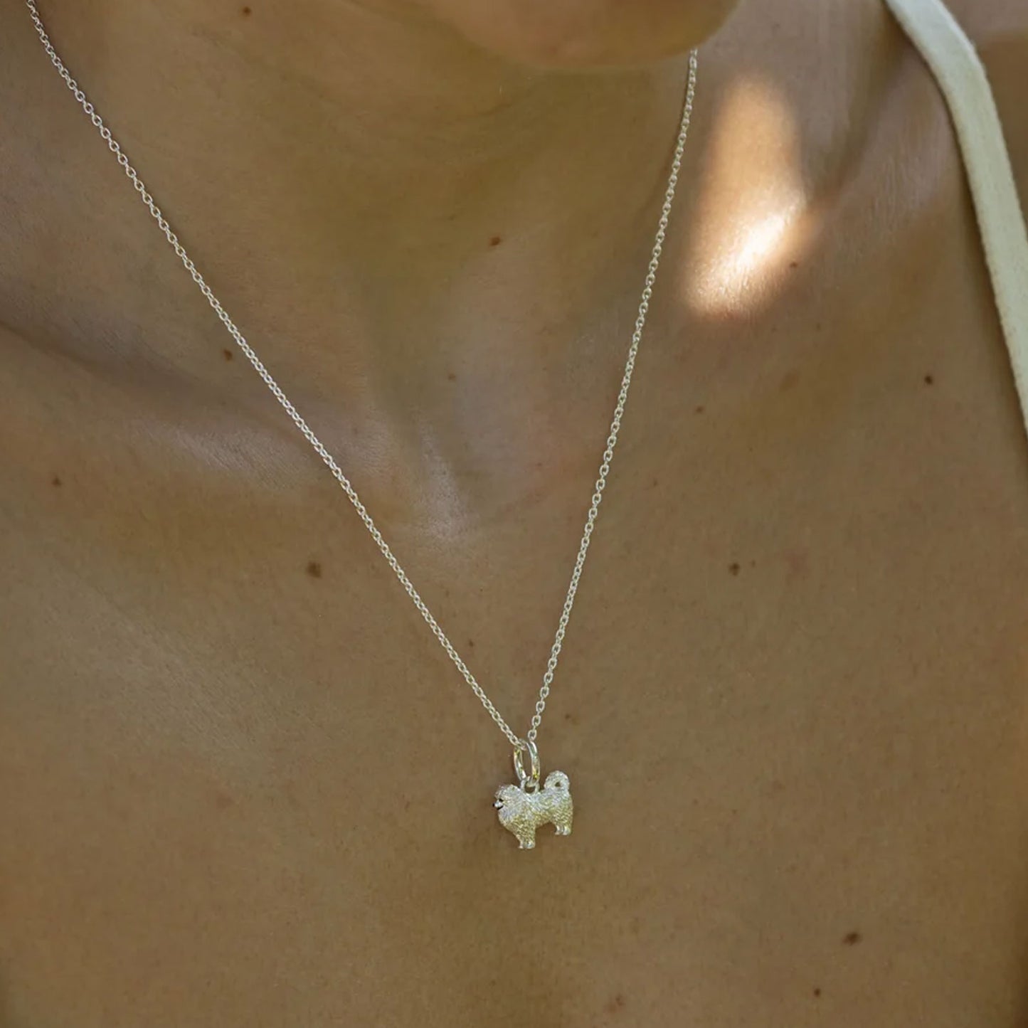 Silver necklace with a dog pendant on a person's neck