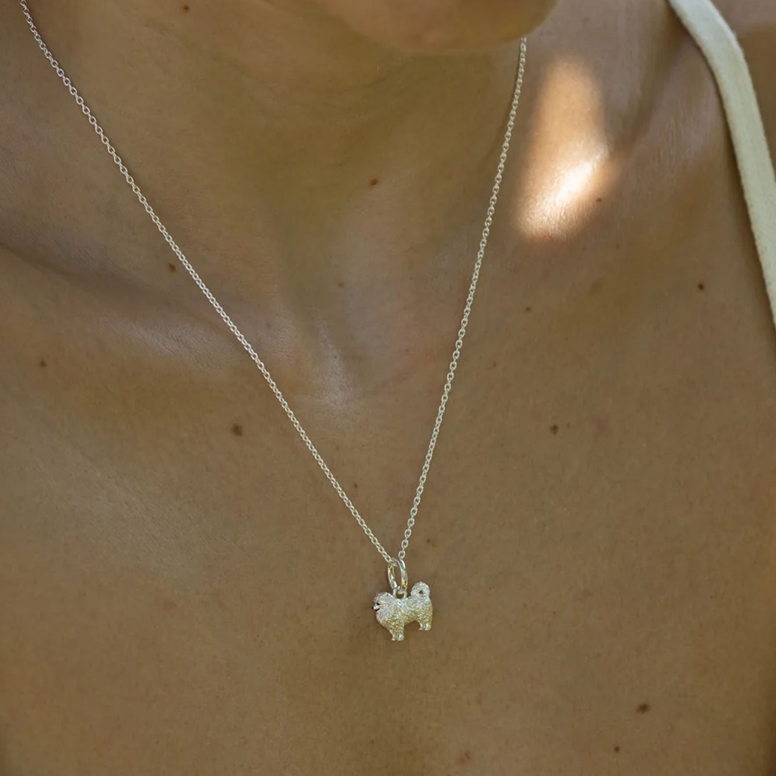 Silver necklace with a dog pendant on a person's neck