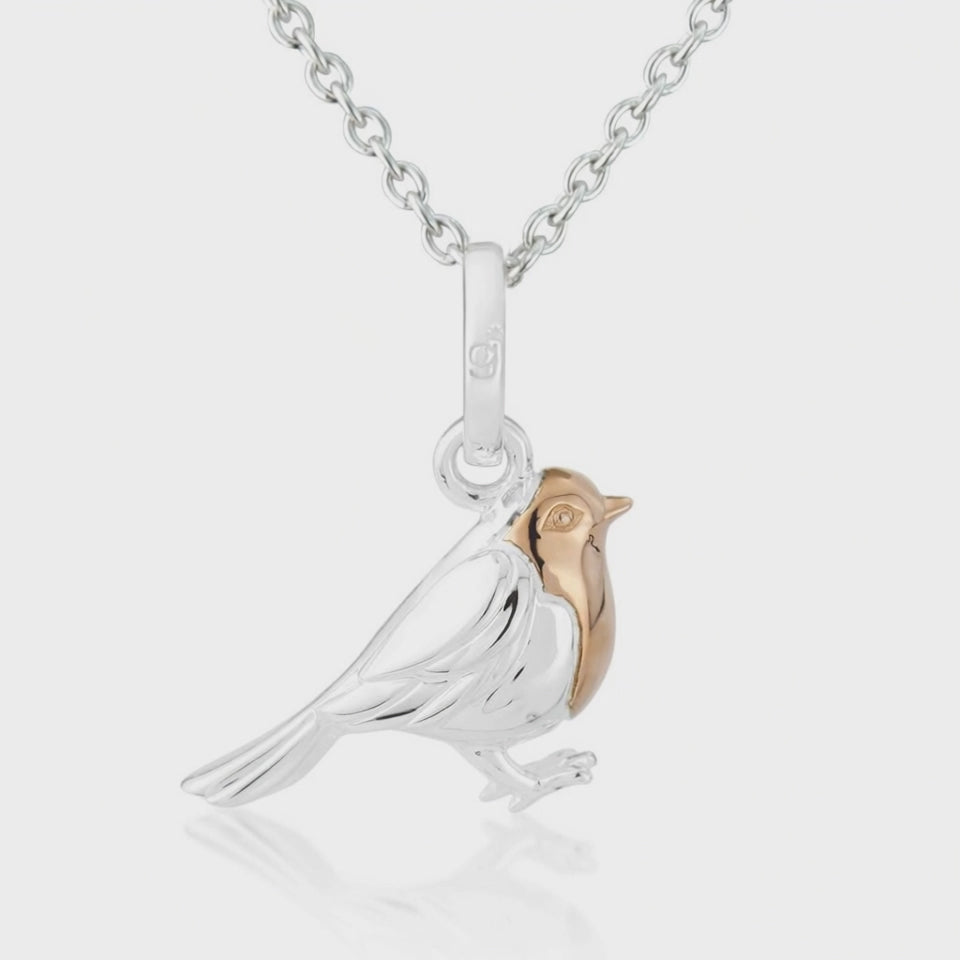 Video for Gemma J Robin Sterling Silver Necklace