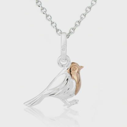 Video for Gemma J Robin Sterling Silver Necklace