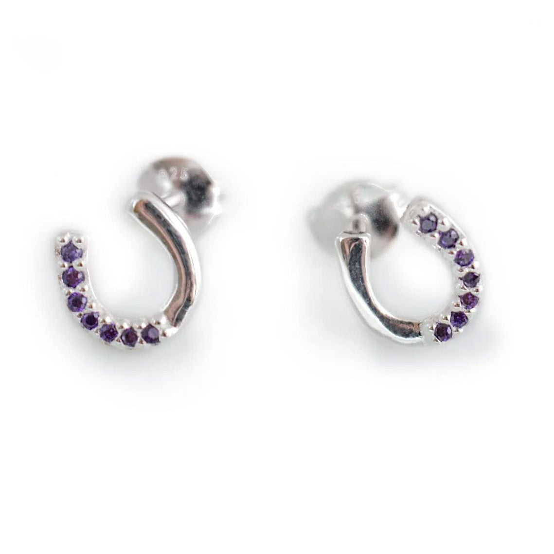 A pair of silver and purple horseshoe earrings on white background