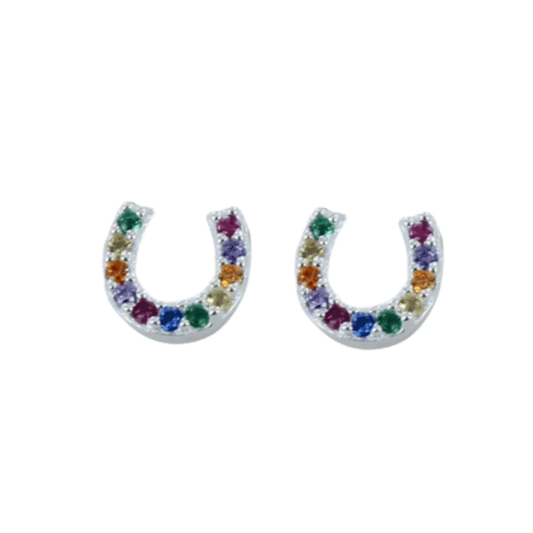rainbow horseshoe earrings on white background