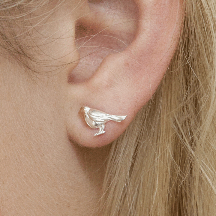 Robin Sterling Silver Earrings - Cotswold Jewellery