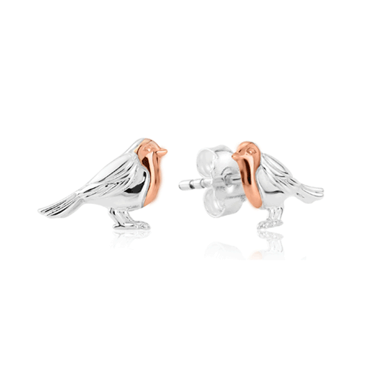 Robin Sterling Silver Earrings - Cotswold Jewellery
