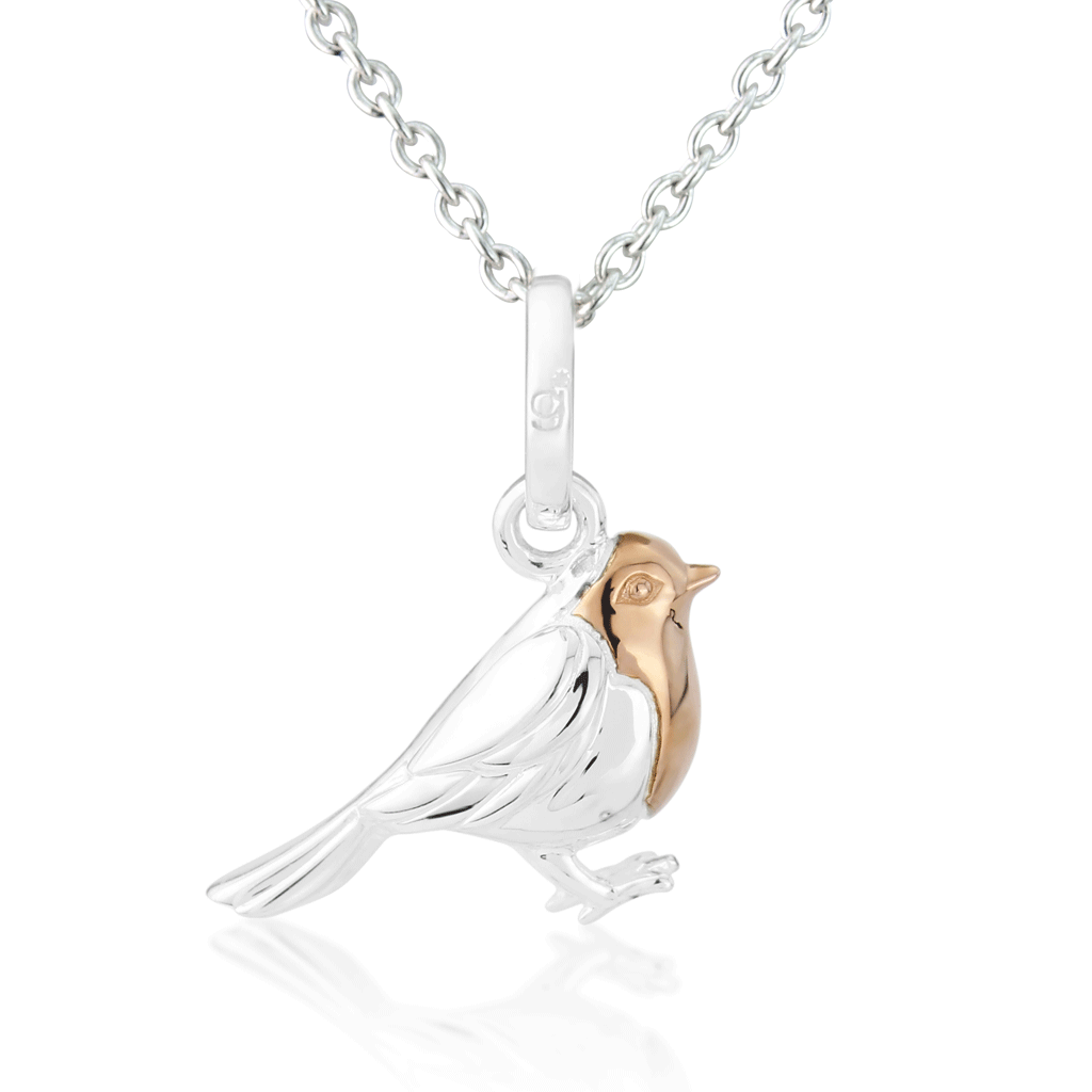Robin Sterling Silver Necklace - Cotswold Jewellery