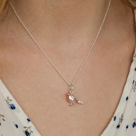 Robin Sterling Silver Necklace - Cotswold Jewellery