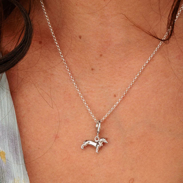 Silver necklace with a dog pendant on a person's neck