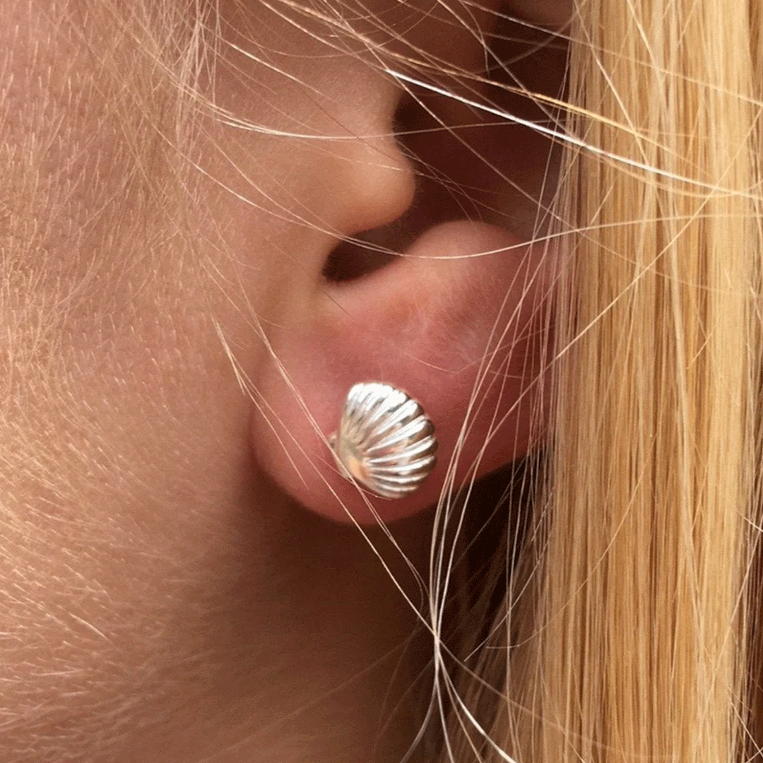 scallop-shell-earrings-studs