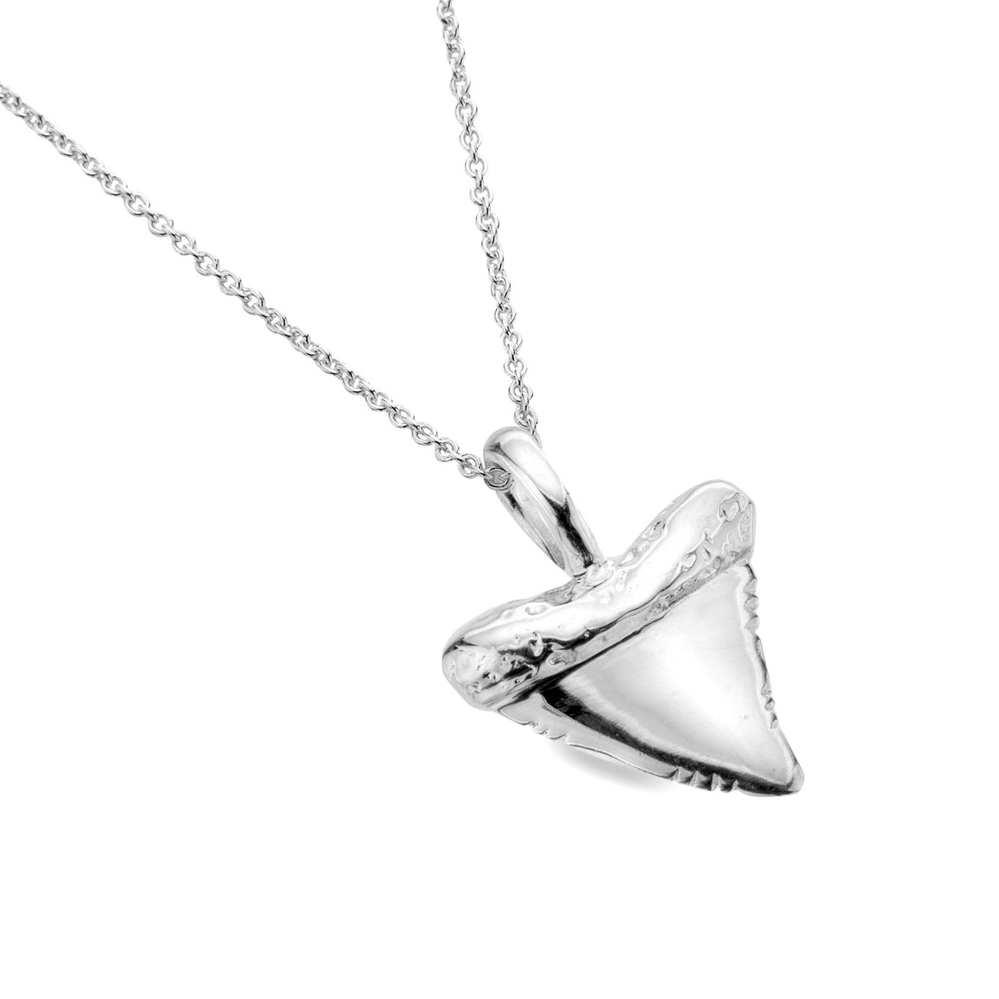 shark tooth pedant on white background