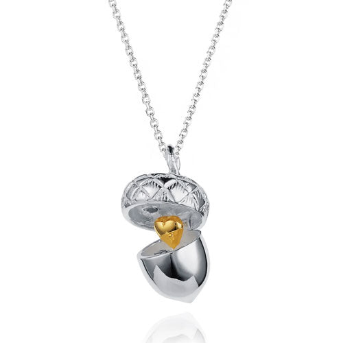 Pretty Acorn Locket Necklace